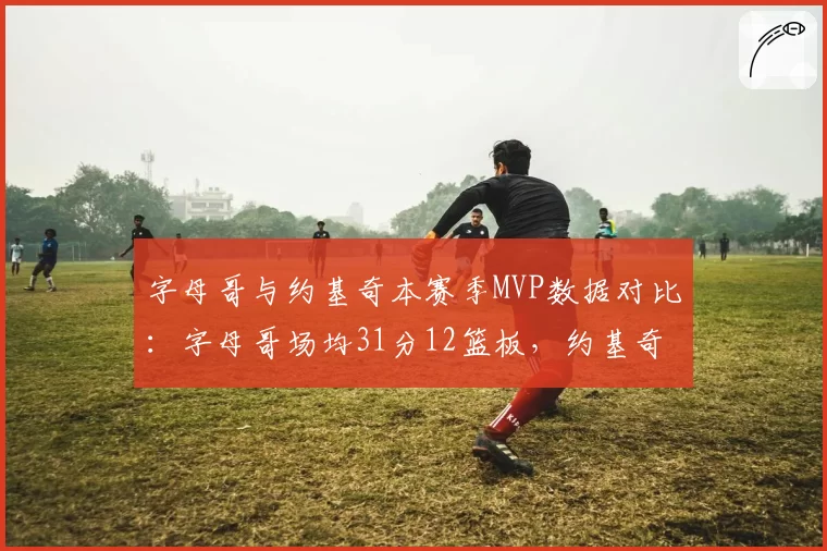 字母哥与约基奇本赛季MVP数据对比：字母哥场均31分12篮板，约基奇场均26分13篮板10助攻