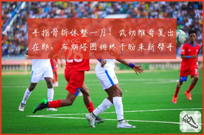 手指骨折休整一月!武切维奇复出在即,布朗塔图姆终于盼来新帮手